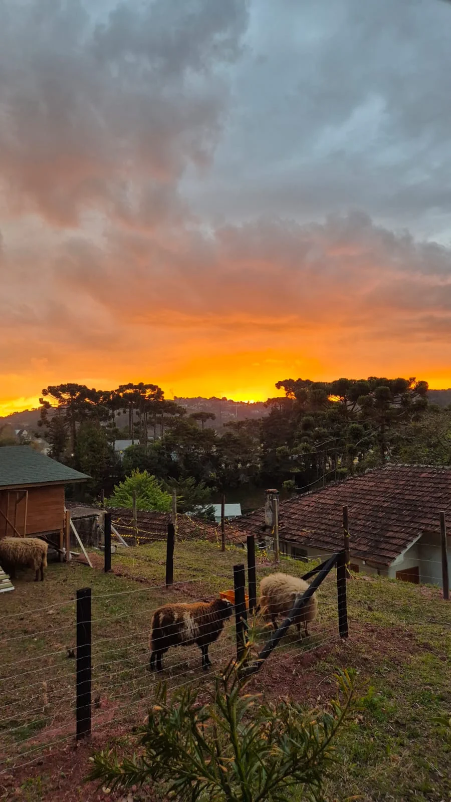 Campos do Jordão além das paisagens: uma viagem pela história e cultura
